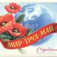 Как отмечают майские праздники в России