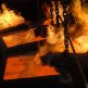 Компания НЛМК за этот год увеличила уровень своего дохода на 30 %