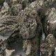 Титановые россыпи в России